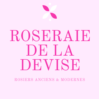 Roseraie de la Devise